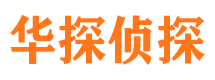 白塔市侦探公司